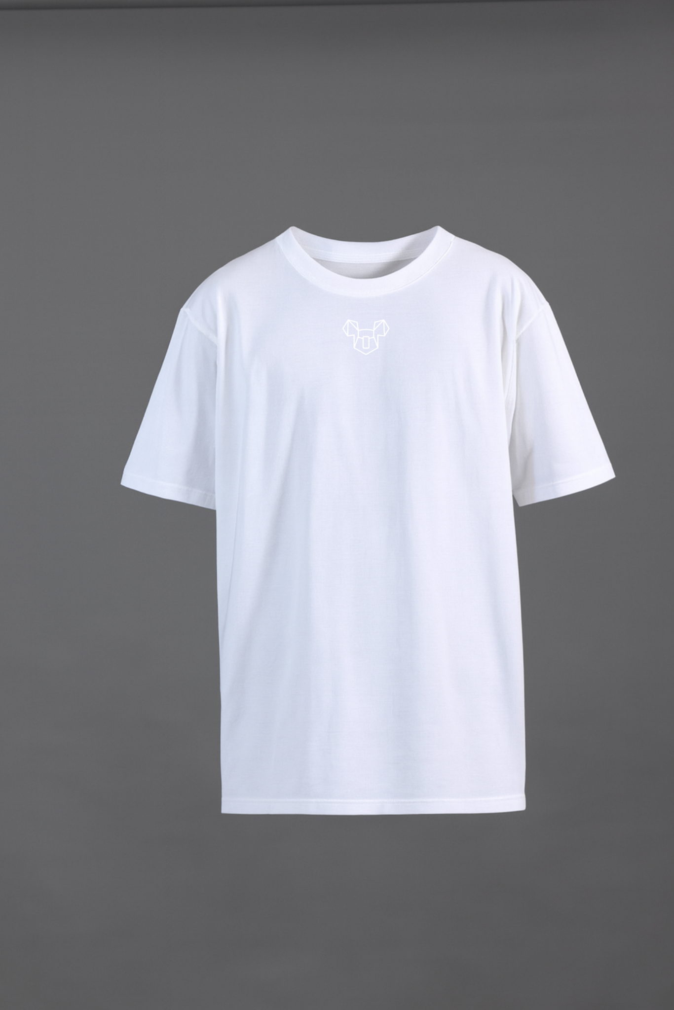OVERSIZED UNISEX T SHIRT